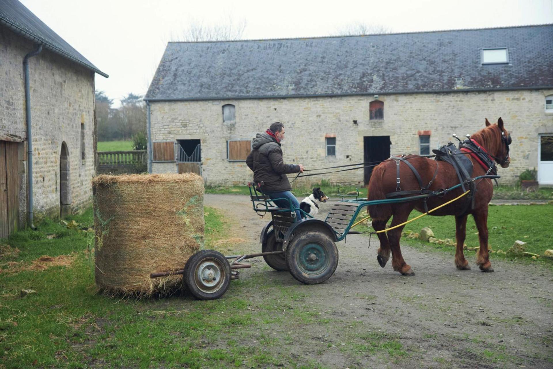 Ferme De Franqueville Sainte-Marie-du-Mont  Buitenkant foto